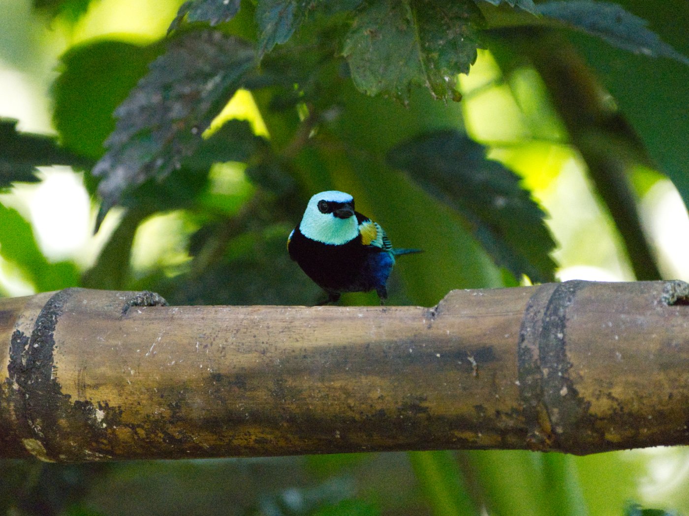 _DSC9369.jpg