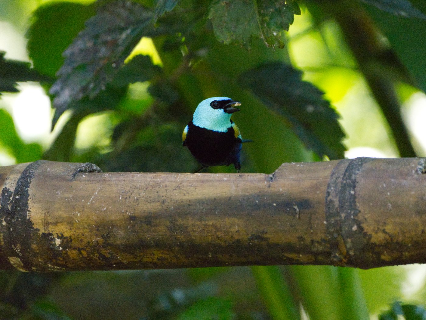 _DSC9383.jpg