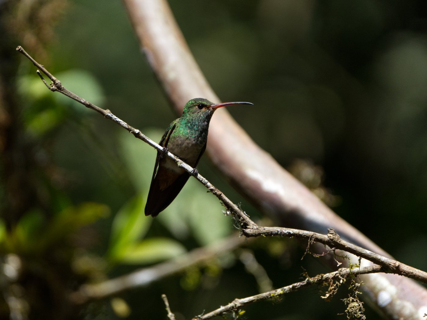 _DSC9661.jpg