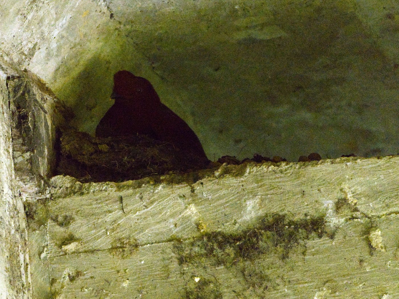 _DSC9891.jpg