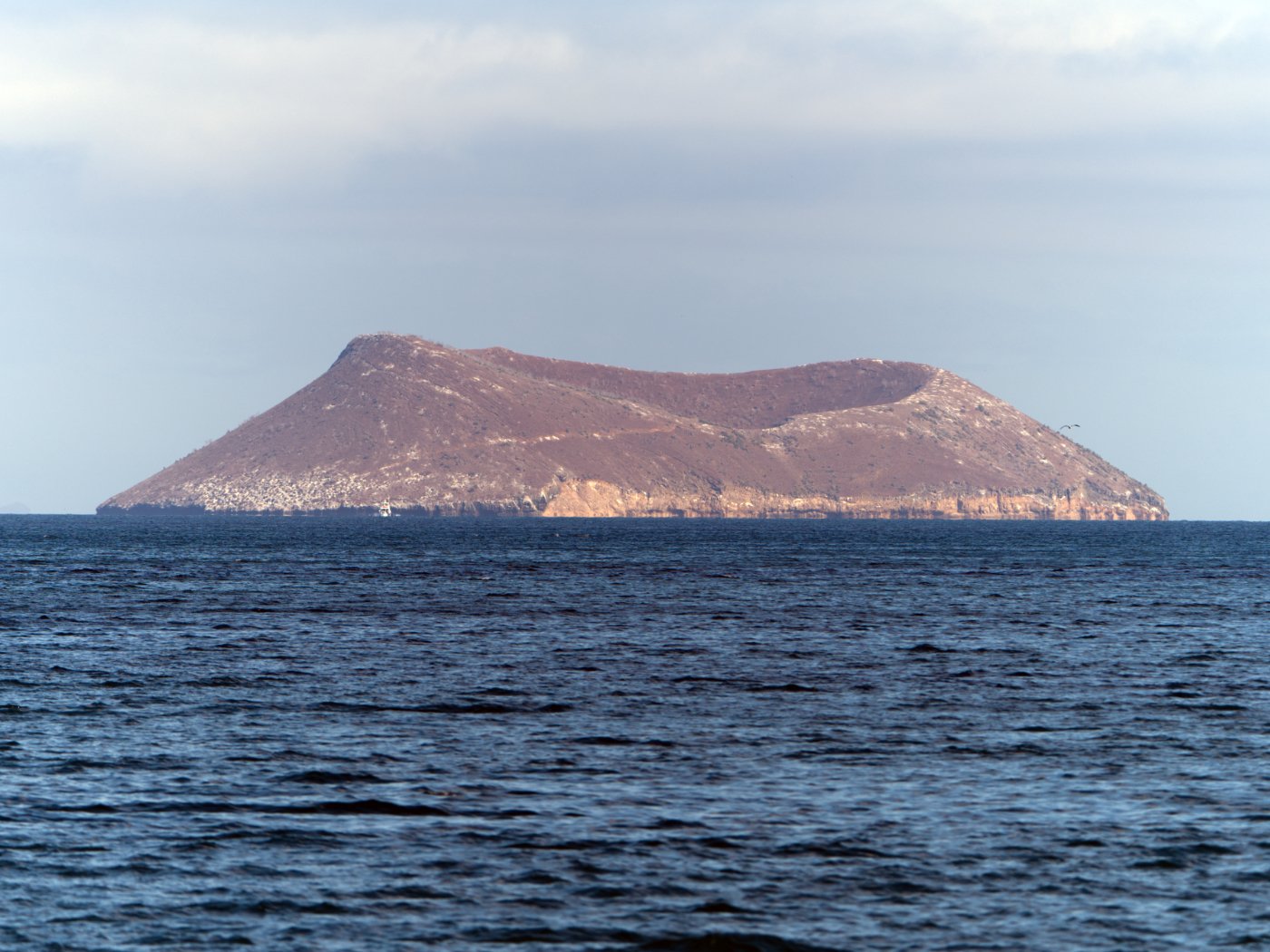 _DSC0566.jpg