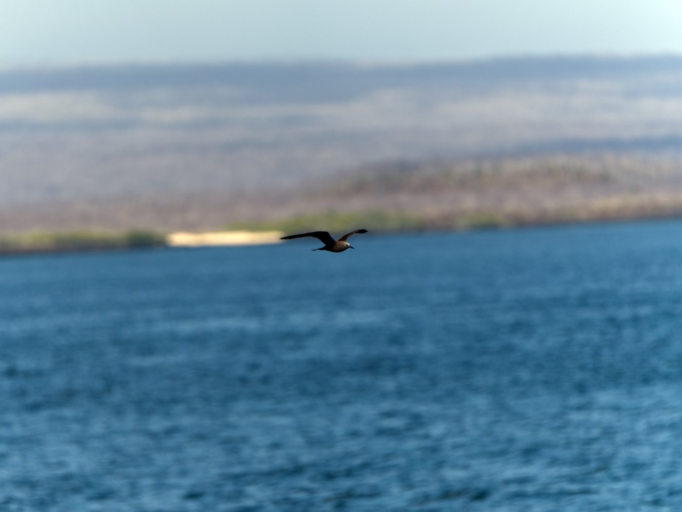 _DSC0583.jpg