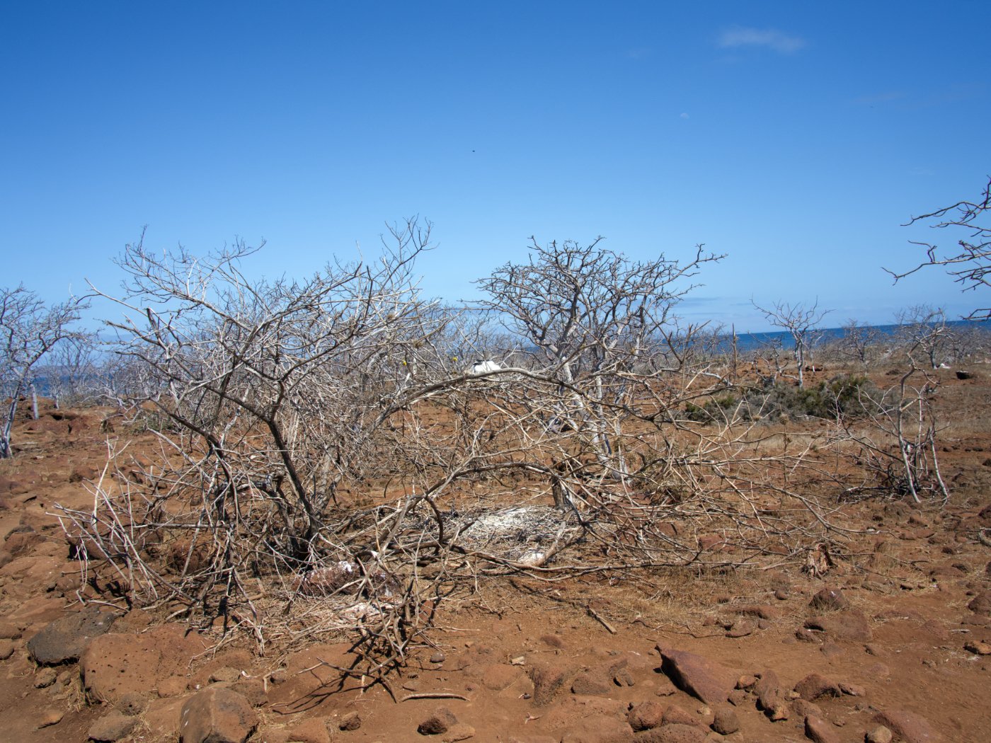 DSC02015.jpg
