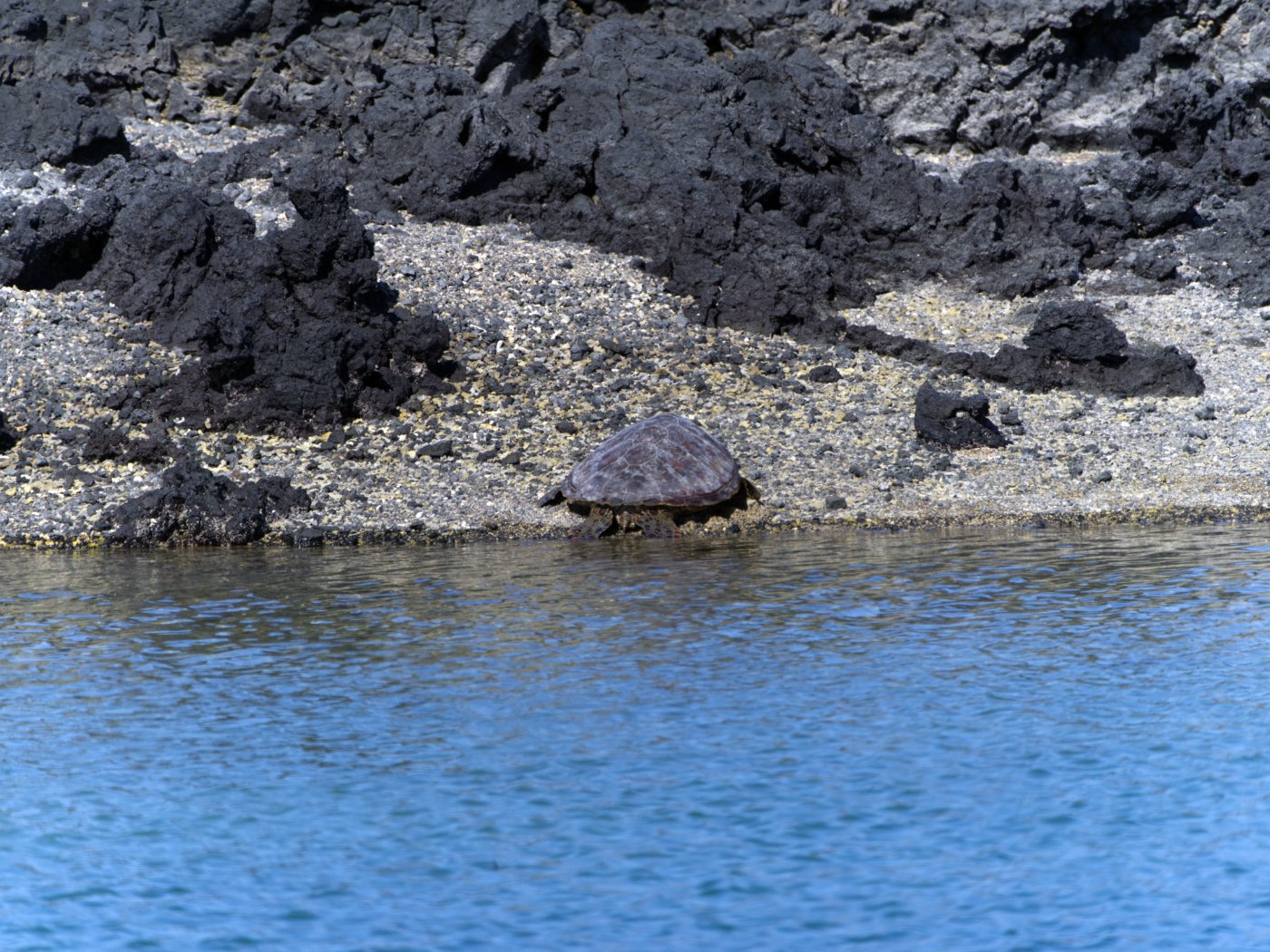 _DSC1809.jpg