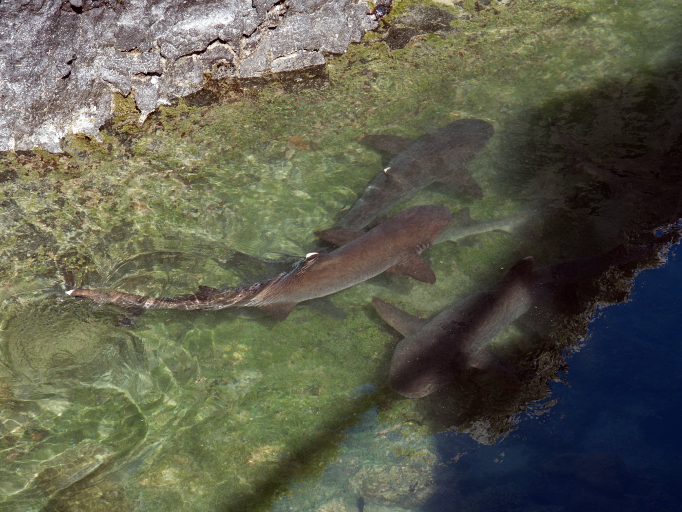 DSC02201.jpg