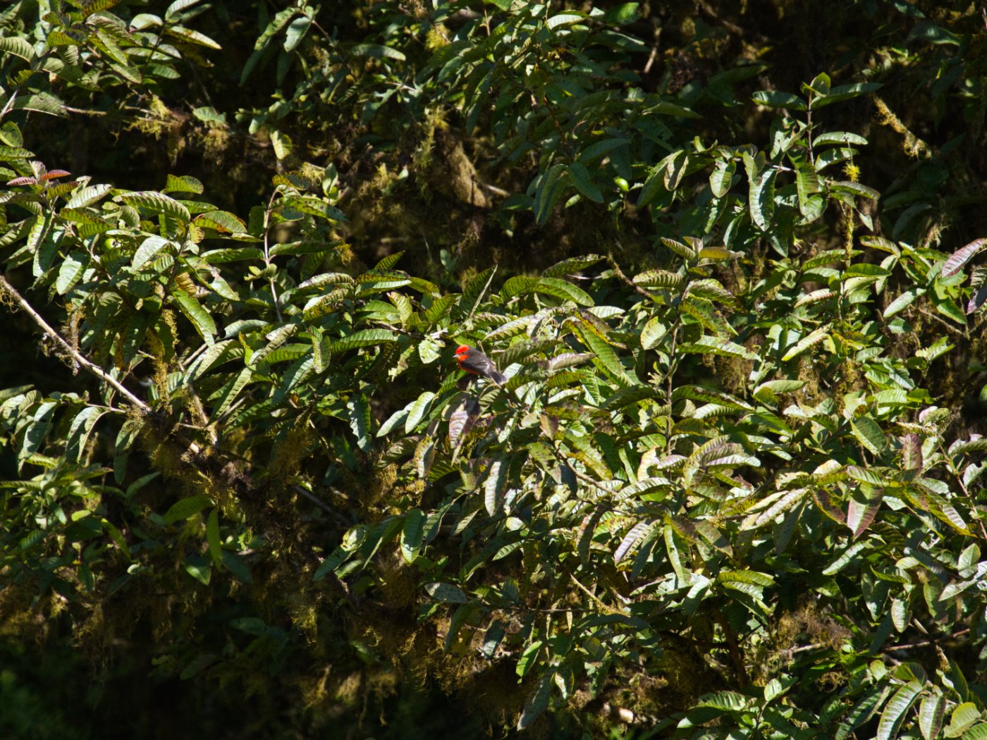 _DSC2765.jpg
