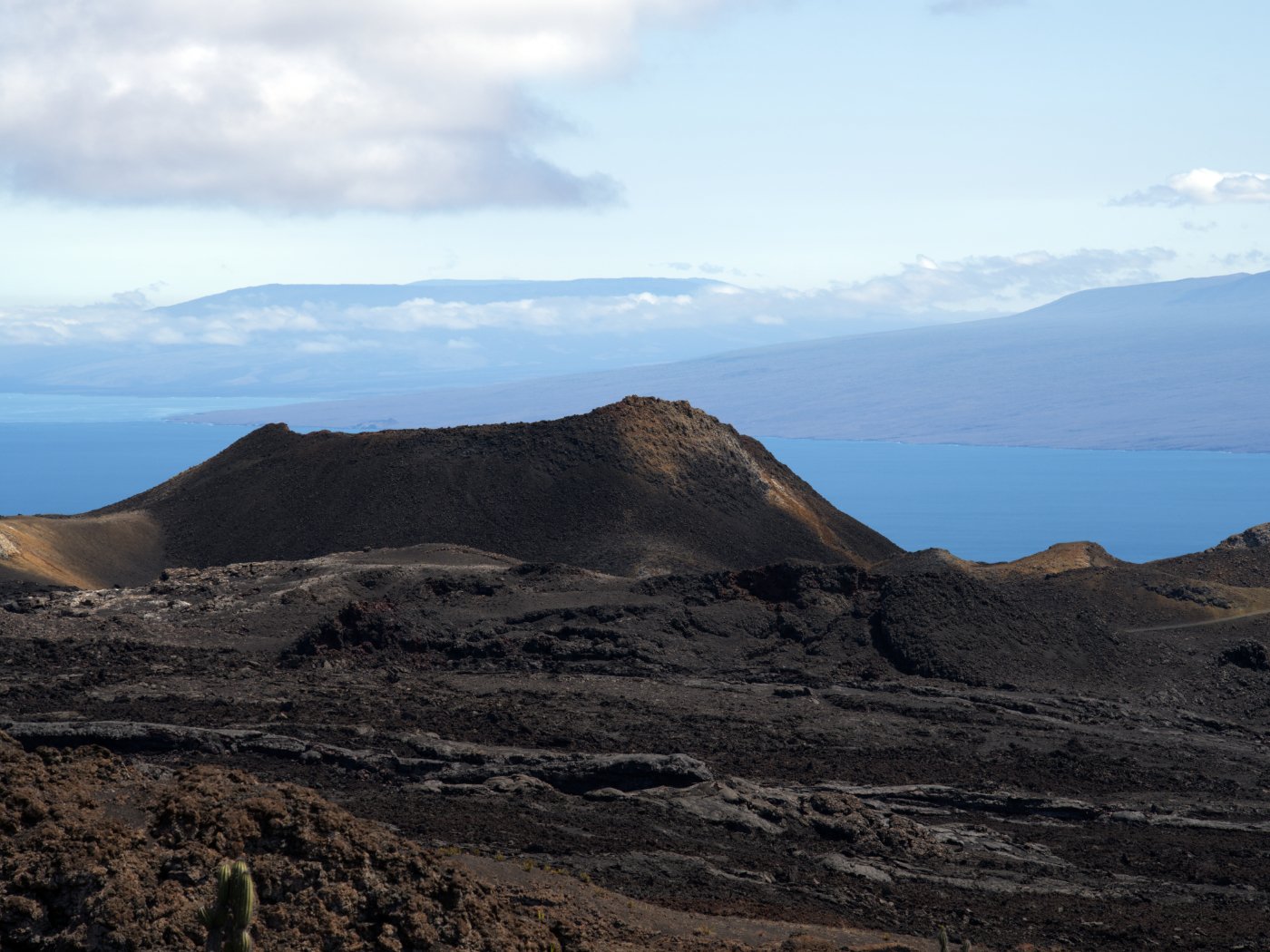 _DSC2984.jpg