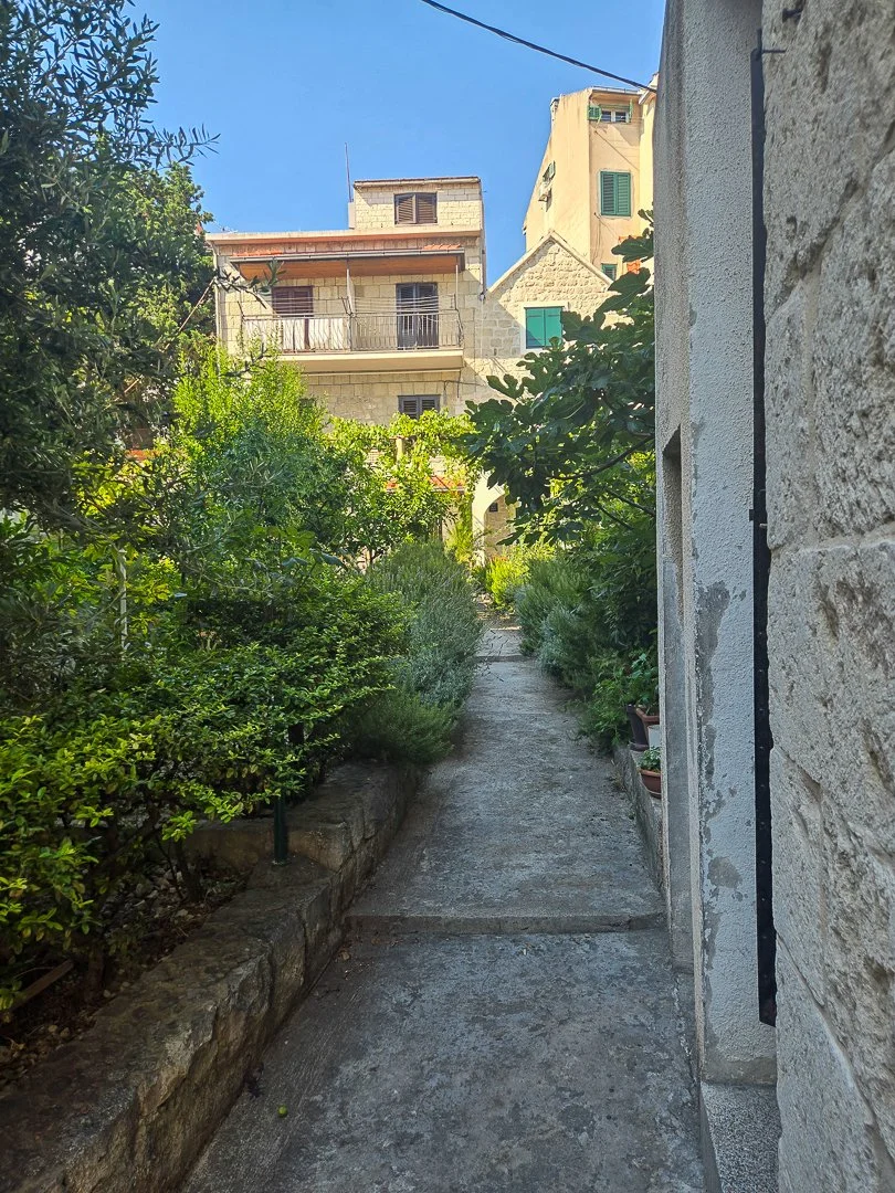 103.jpg