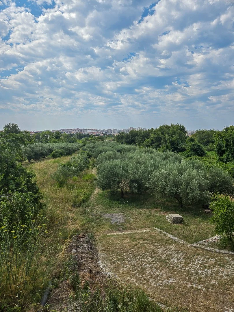 152.jpg