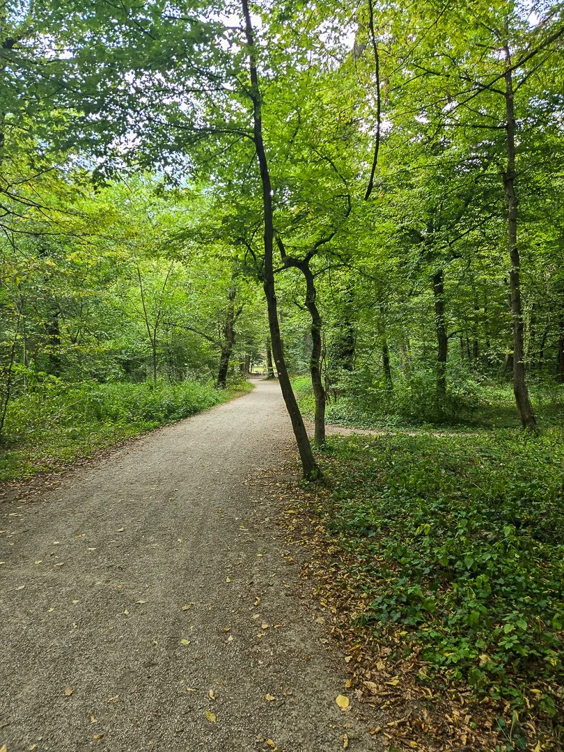 248.jpg