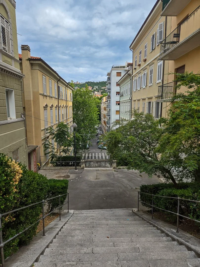 263.jpg