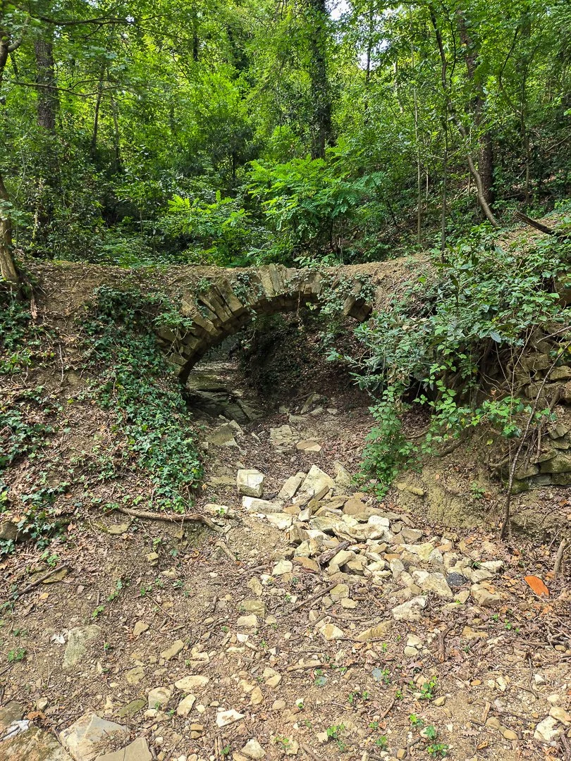 267.jpg