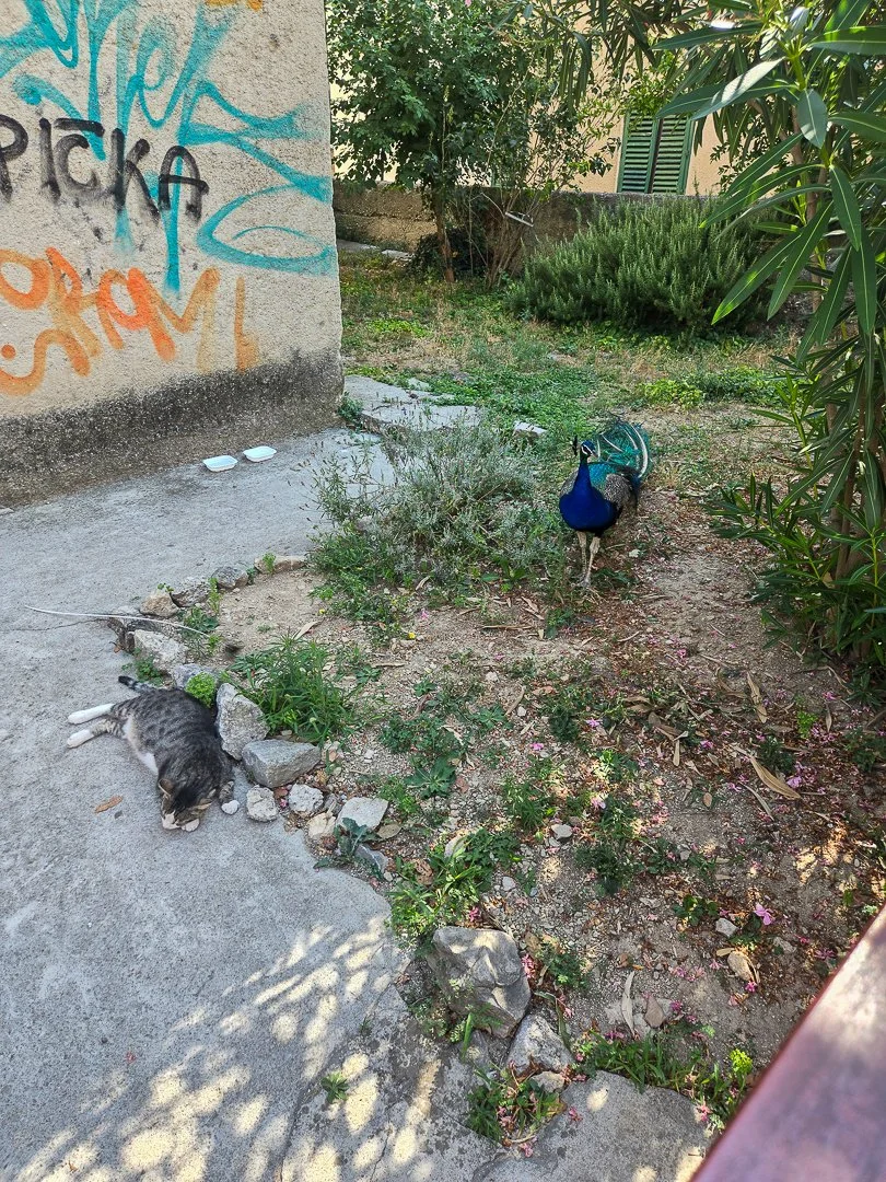 105.jpg