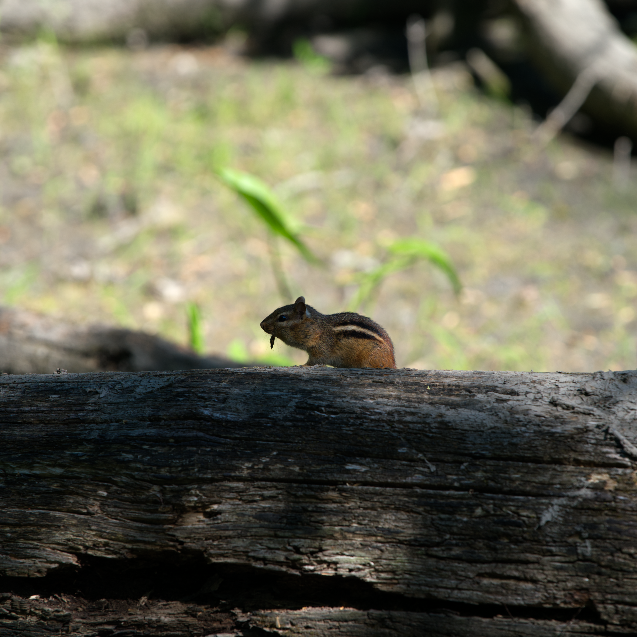 _DSC0157.png
