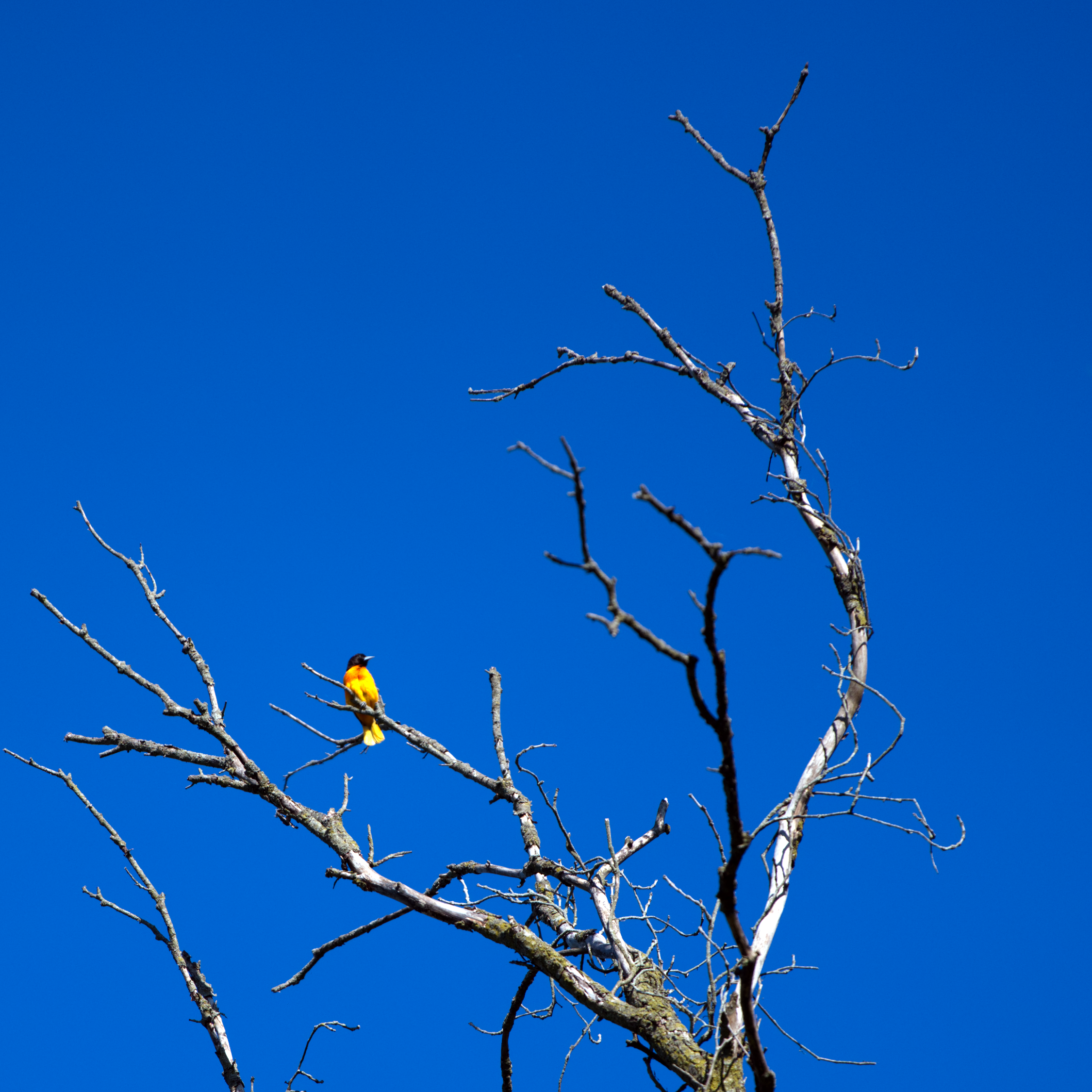 _DSC0117.png