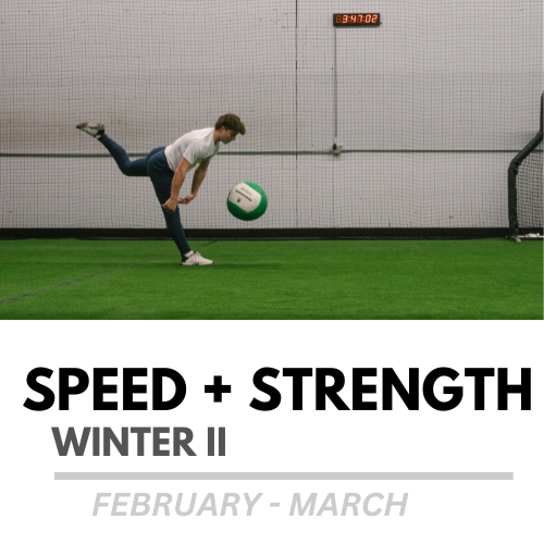 Current Programs — TIER 1 PERFORMANCE
