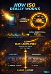 ISO for Beginners: A Complete Guide to Understanding ISO in Photography
