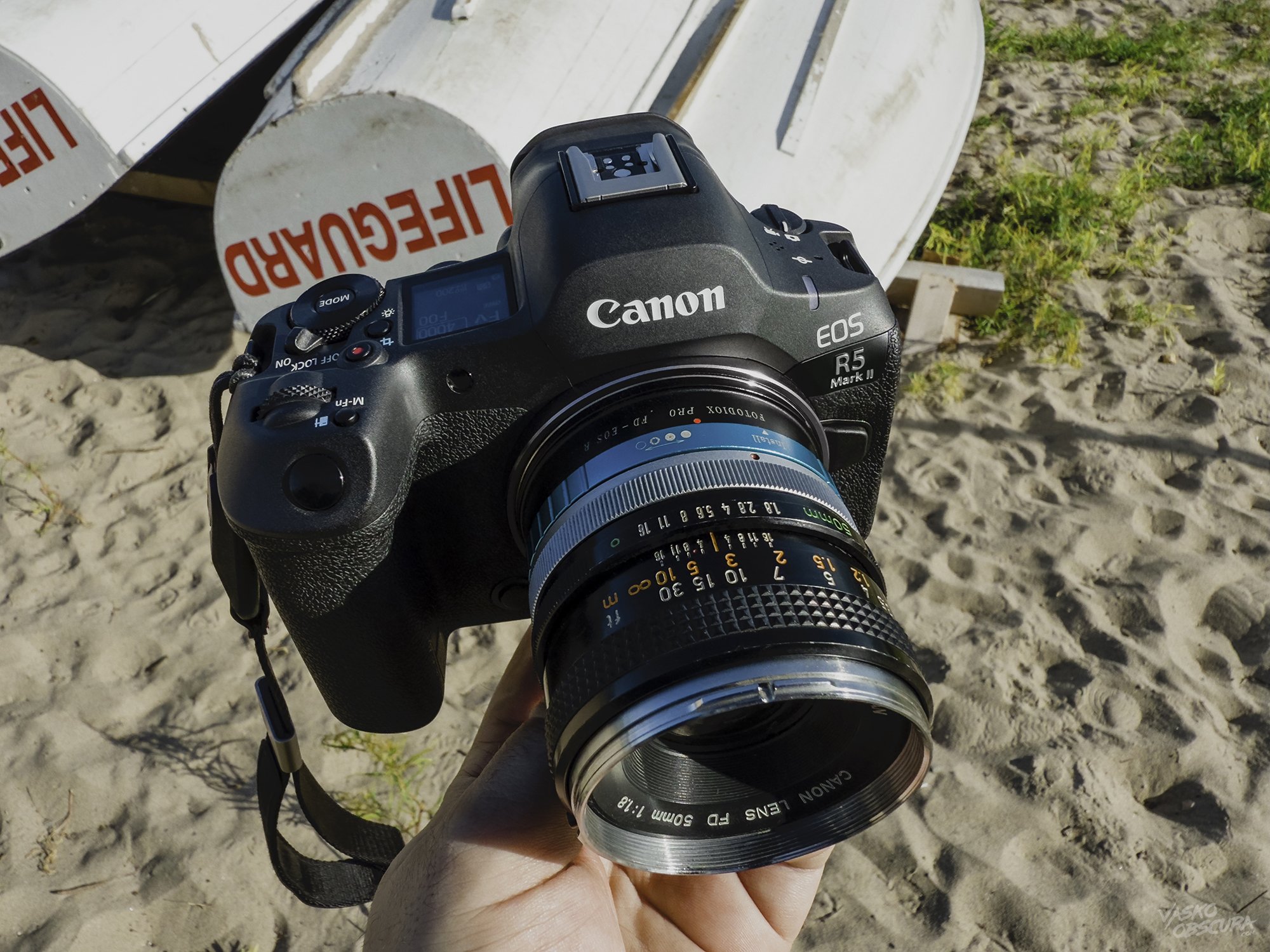 Canon FD 50mm f1.8 S.C. Chrome Nose - Sample Photos