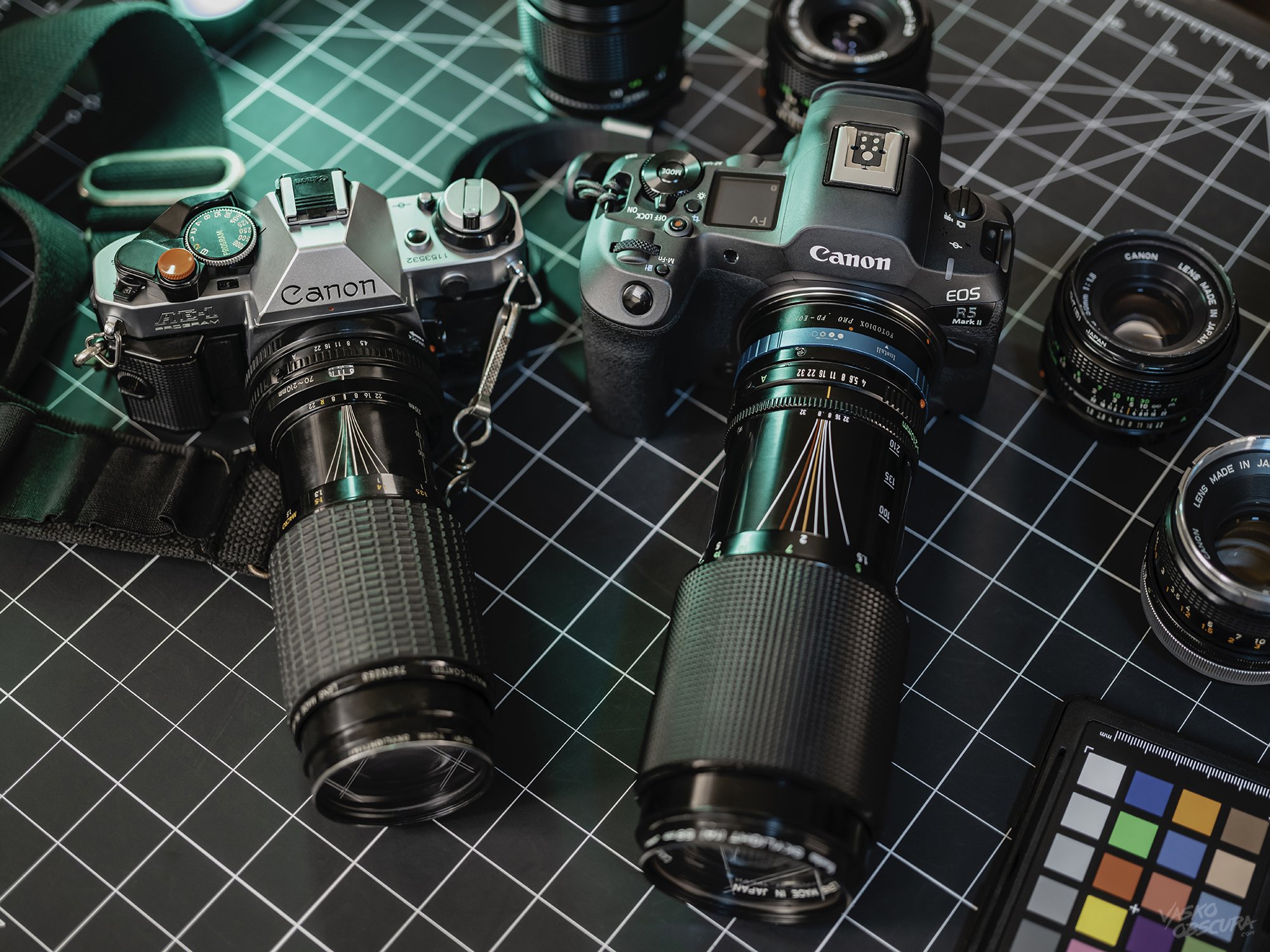 Canon-nFD-70-210mm-f4-Macro-Sigma-70-210mm-f4.5-Macro-100S8312-web.jpg