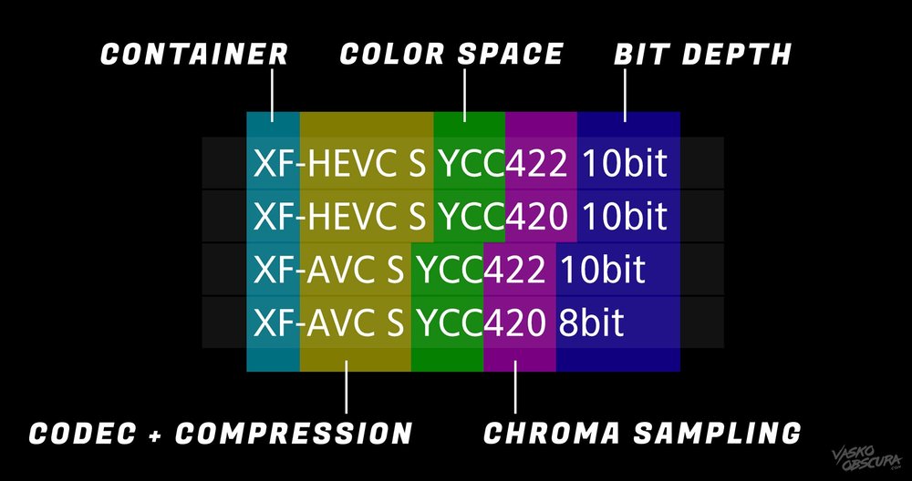 Canon EOS R5 Mark II Video Formats Explained (Beginner-Friendly Guide)