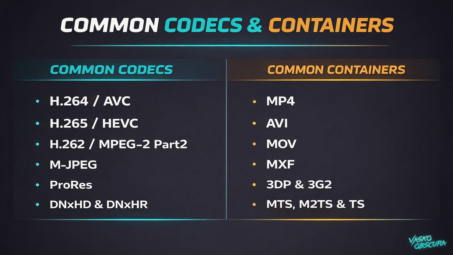 Infographic showing common video codecs including H.264, H.265, MPEG-2, ProRes, and DNxHD alongside common video containers like MP4, MOV, AVI, MXF, and MTS.