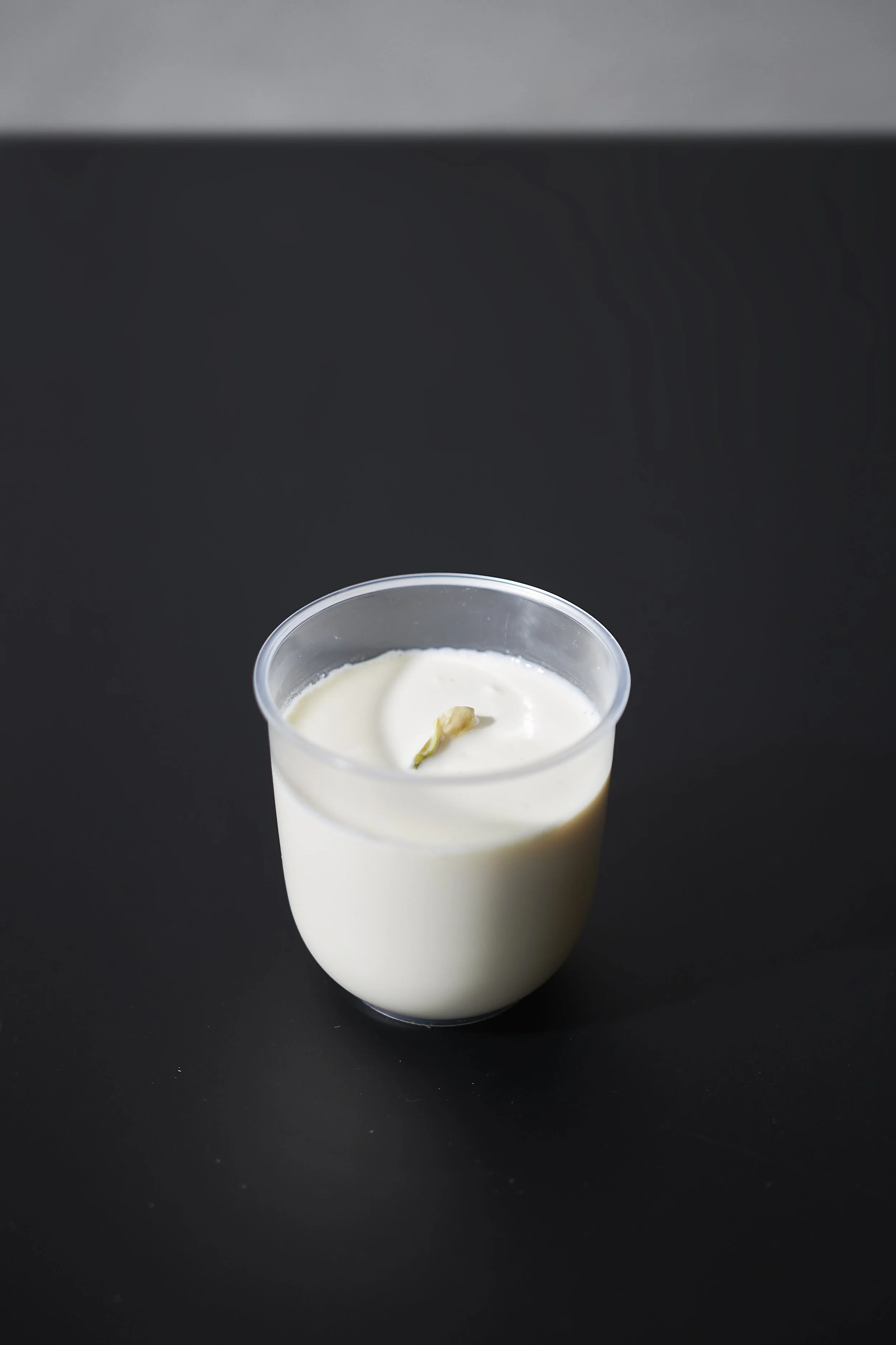 Jasmine Milk Jelly