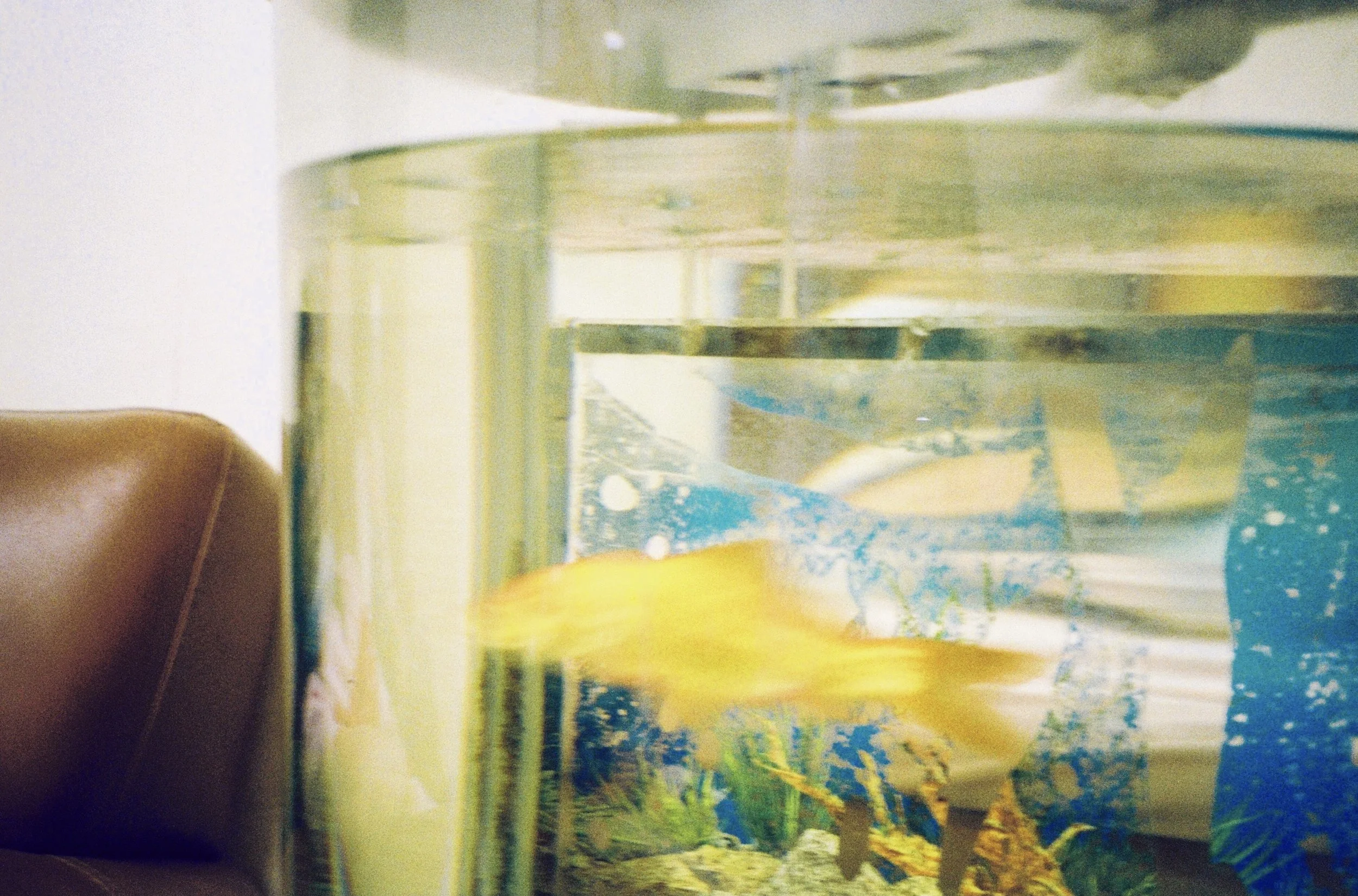 146301764i4d07a8679ed30d2a0b4c37 2.JPG