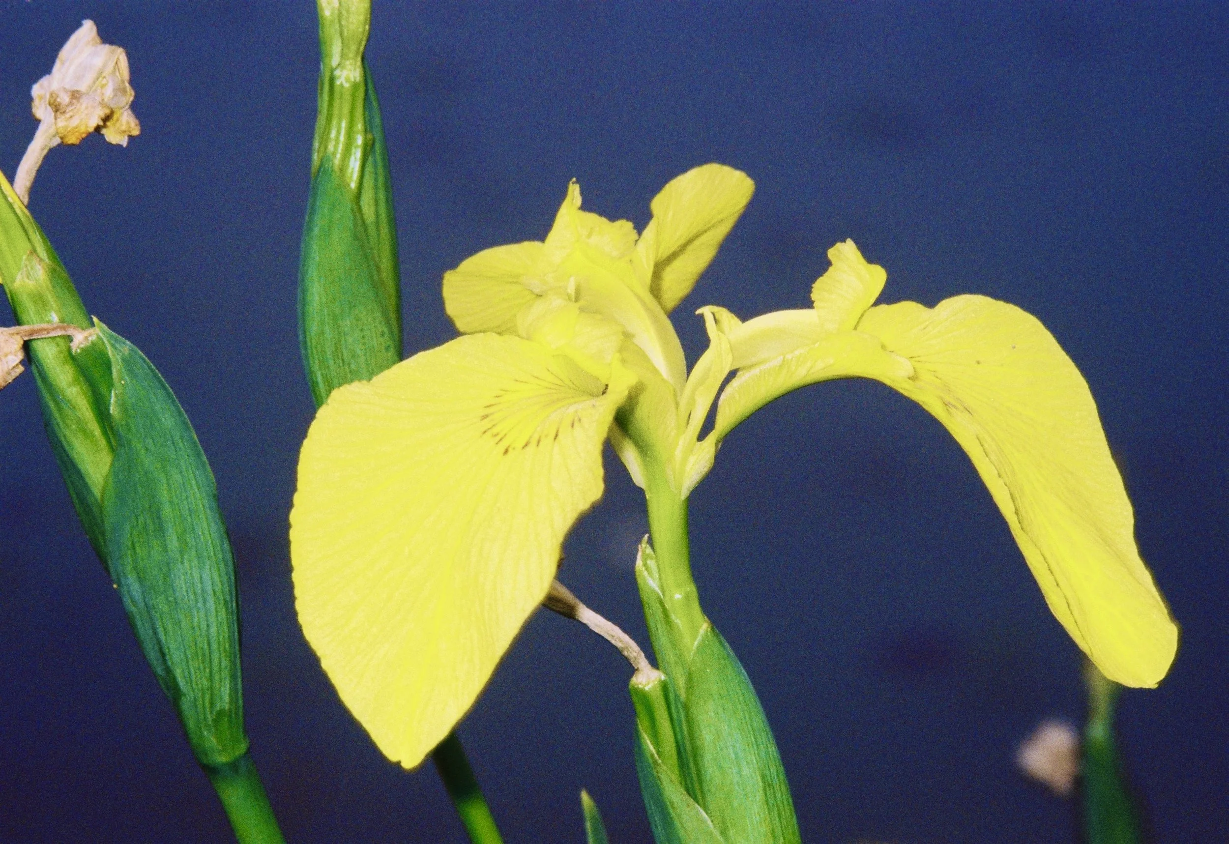 adefb9499me8fc6826c4802fa480ce2a 3.jpg