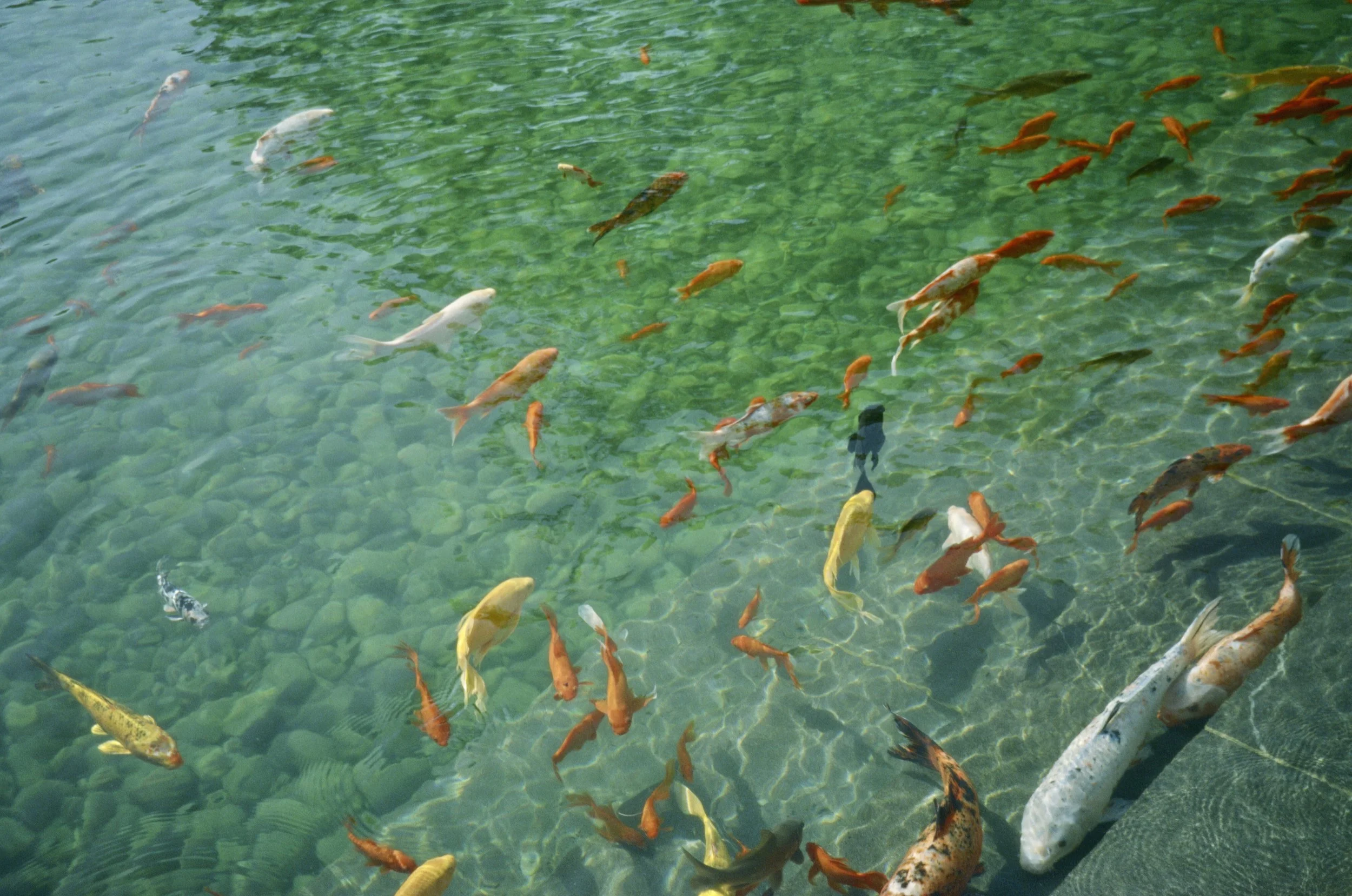 419c0d8deo6a6a432dae2e75ef2ef55f 2.jpg