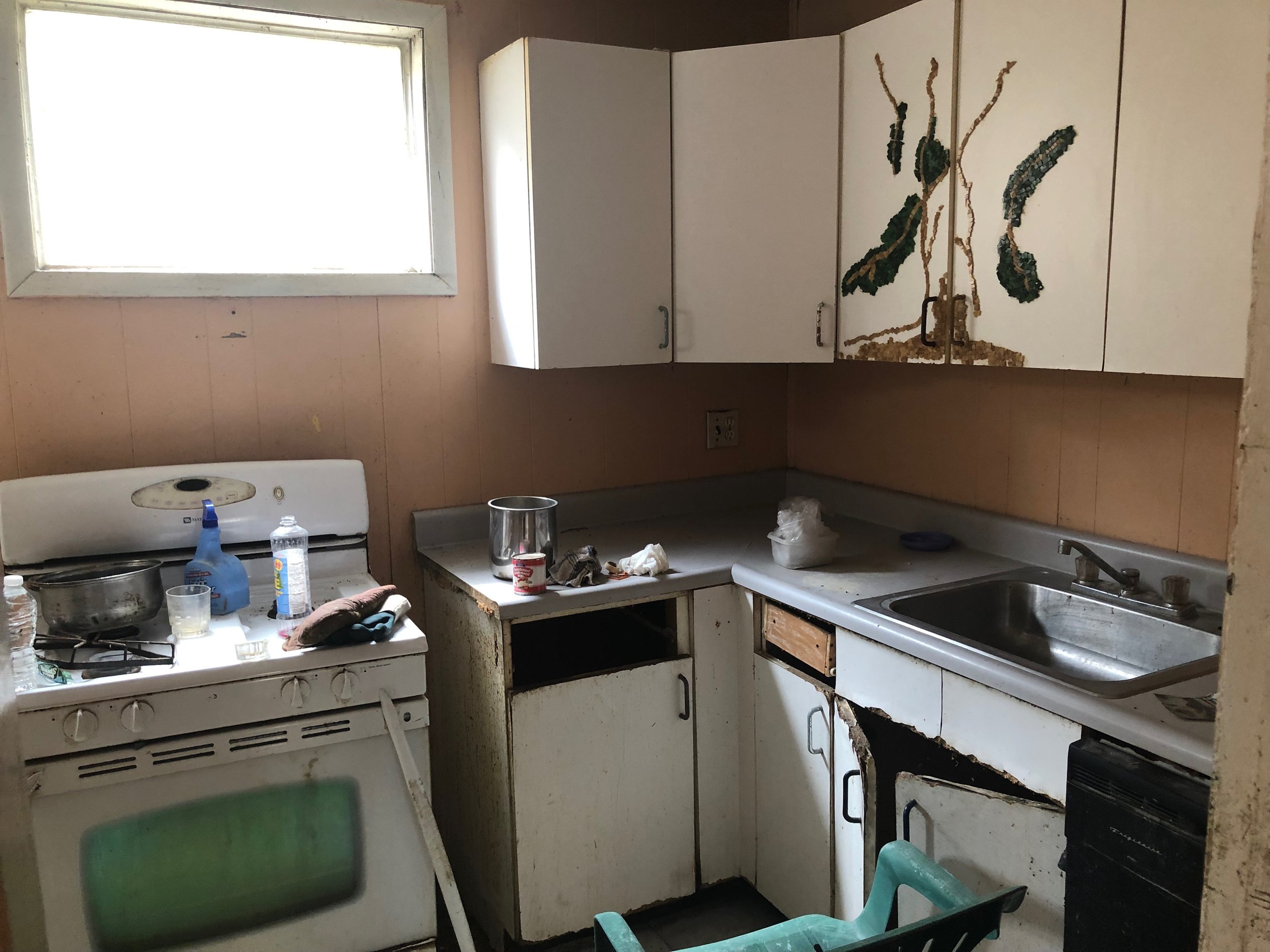 5 Snyder kitchen.JPEG