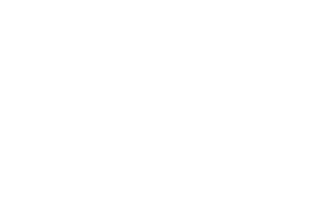 Young Feminist Party