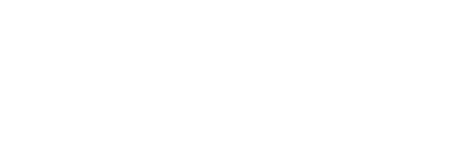 DZ candles - logo slider.png