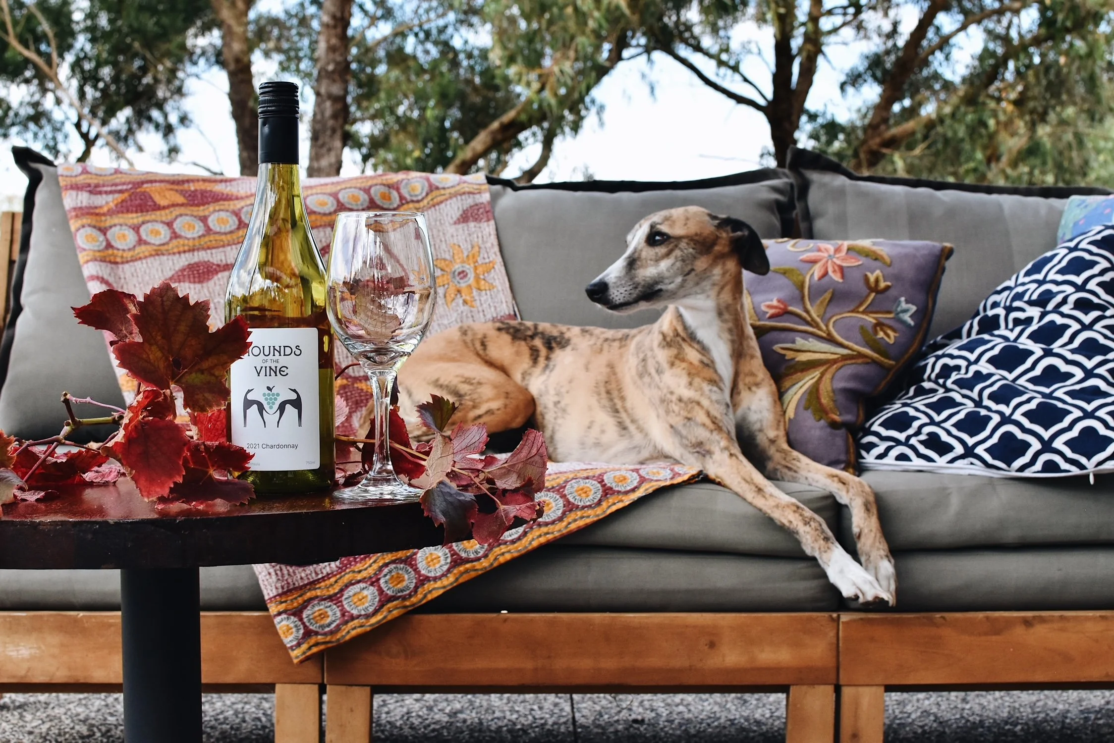 Contact us, Family-owned winery on the Bellarine. Beautiful wine, vineyard views and delicious wine. Hounds of the Vine Winery, Bellarine, Victoria, Australia.