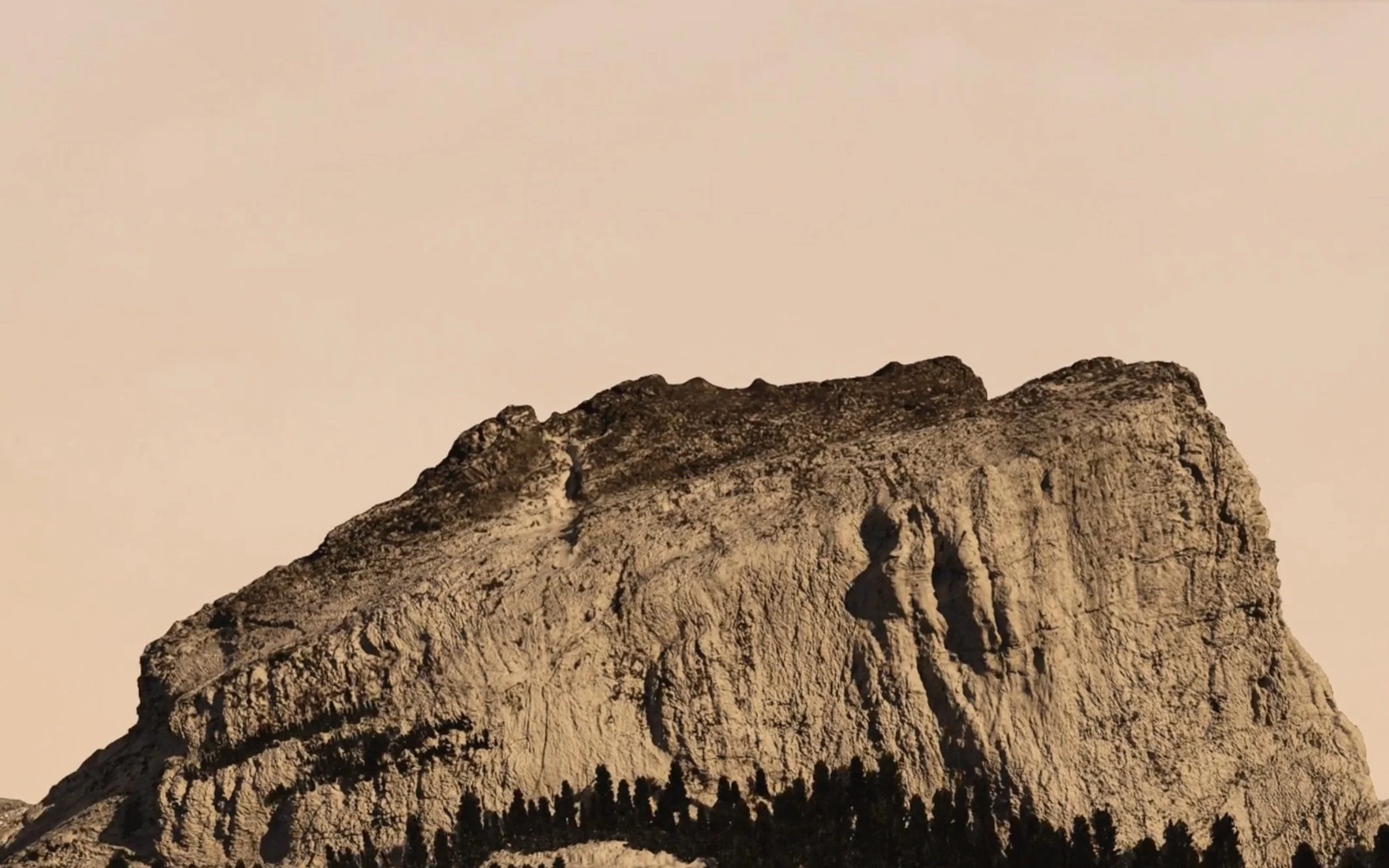 Evolve: Discover: Mocha (Copy)