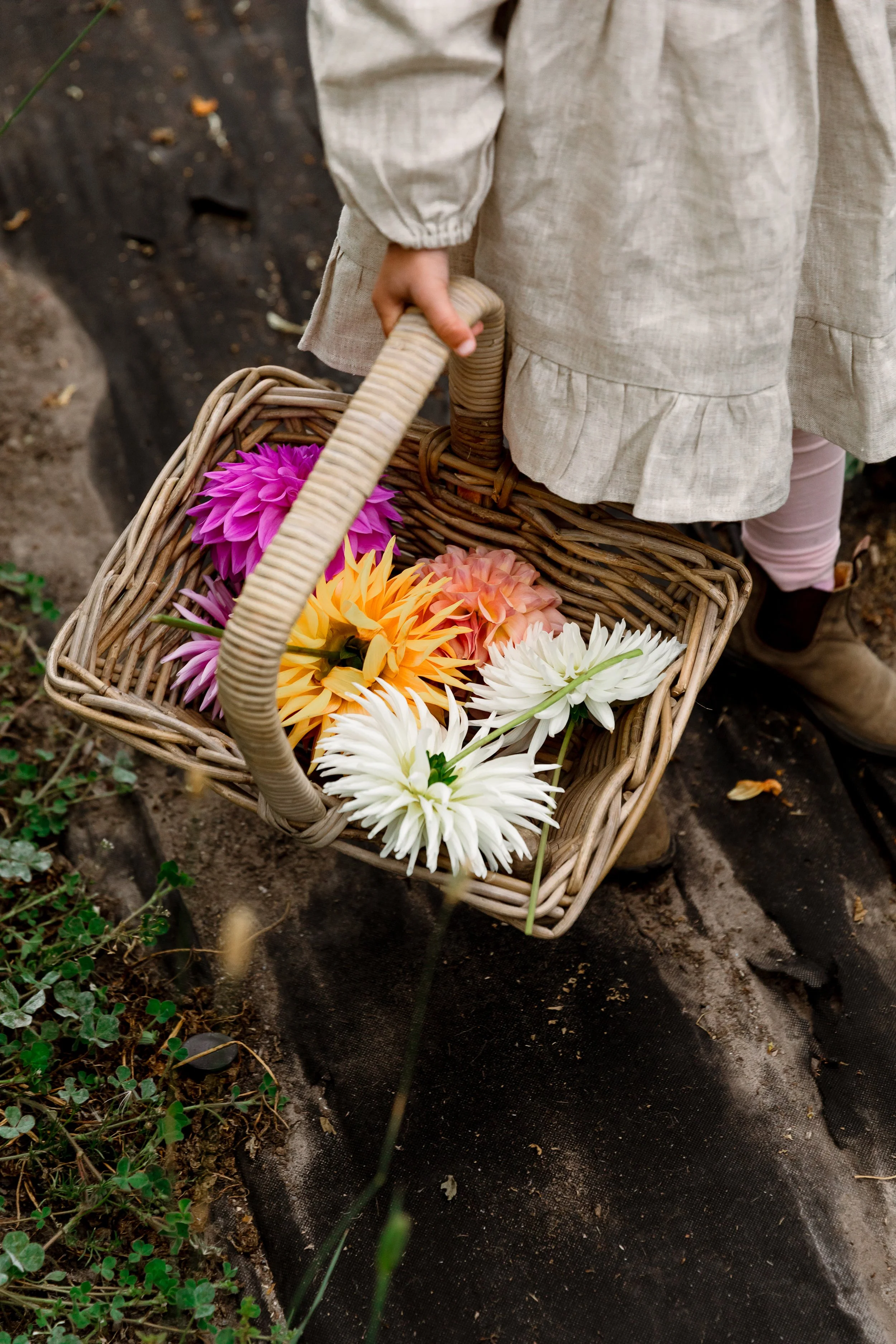 Olivia Claire Media_Bloss Flower Farm-17.jpg