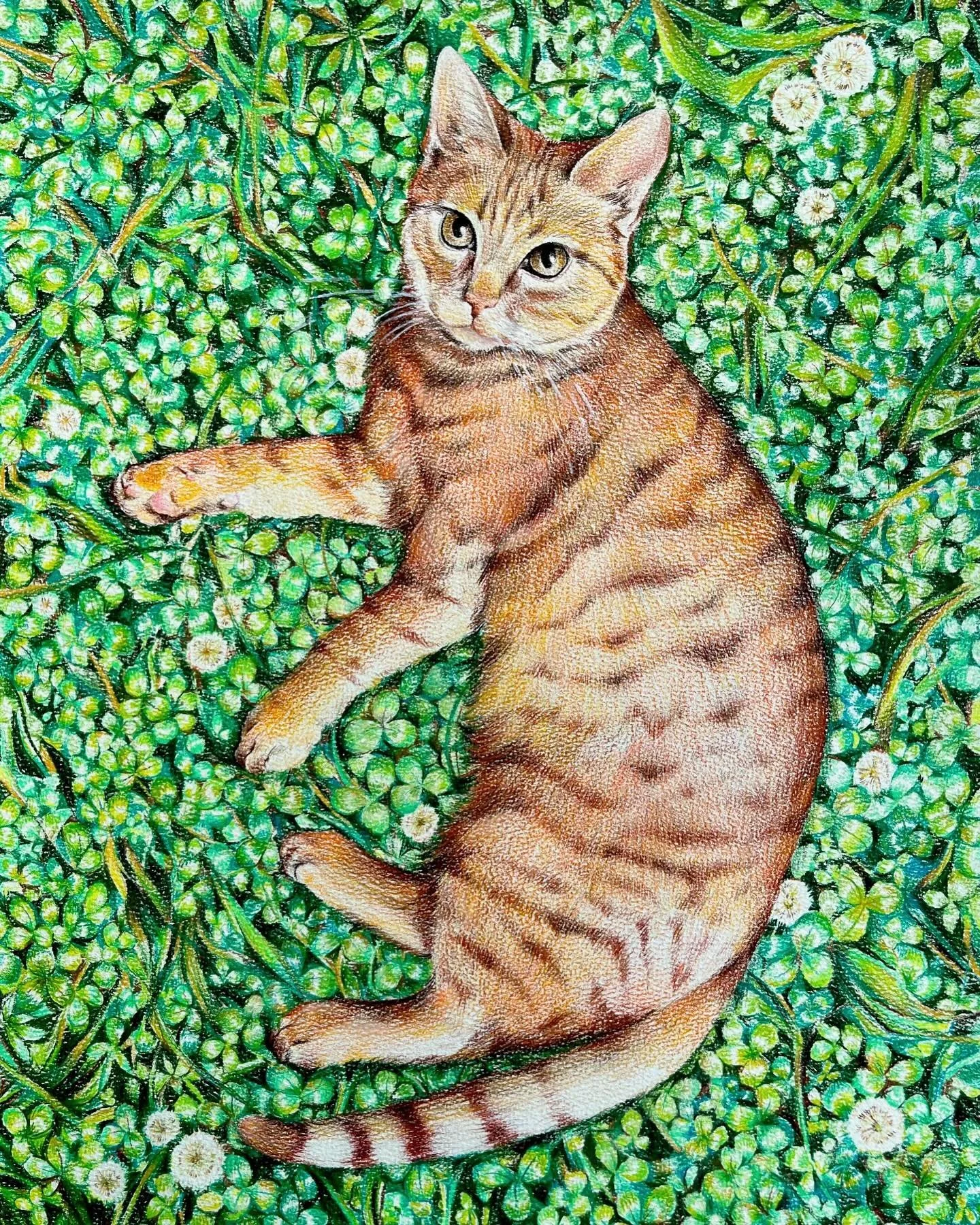 Introducing the newest member of our family! This is Finnegan :)
-
-
-
#cat #colorpencil #petportrait #irishlad #orangecat #babyboy #fourleafclover