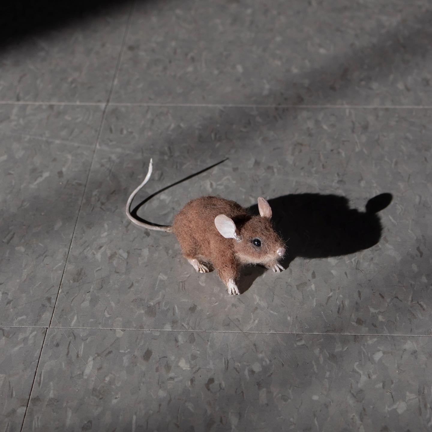 My semester would never be complete without a mouse- I had so much fun making this little guy! Needle felted plus pastel for the fur with hot glue features painted with gouache
-
-
-
#mouse #mice #needlefelting #hotglue #gouache #littleguy