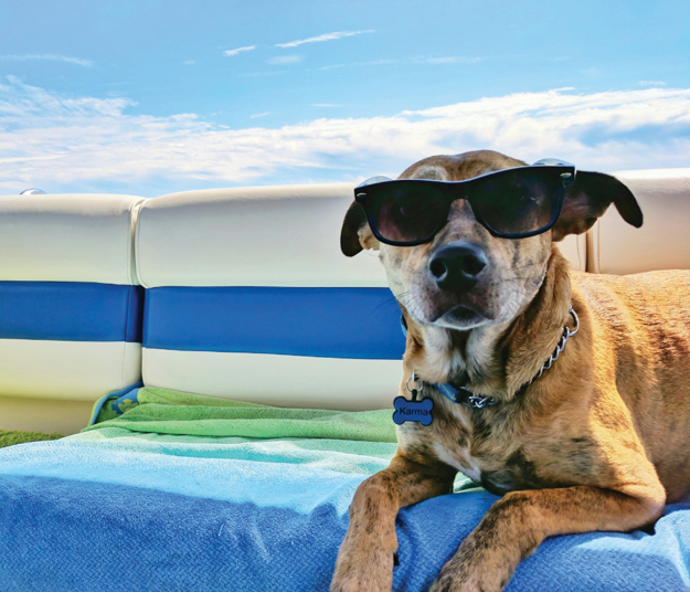 Thinking of a Christmas stay in your SMSF property? Think again!