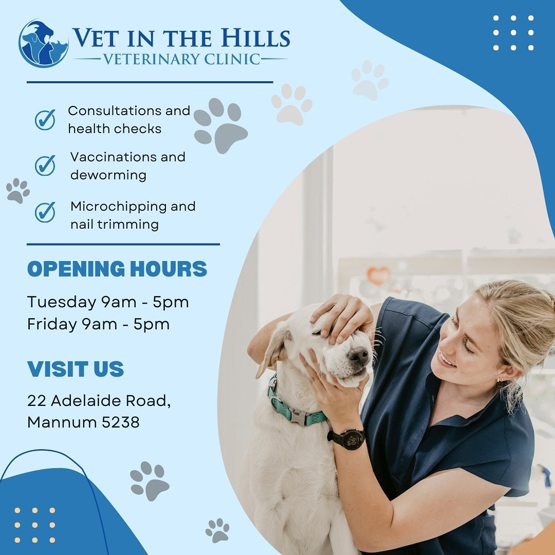 🐾 Our Mannum Clinic Opens Soon! 🐾

We&rsquo;re so excited to bring Vet in the Hills to Mannum! 🎉 Our new clinic will offer a range of essential pet care services, including:

✅ Consultations &amp; health checks 🩺
✅ Vaccinations &amp; deworming 💉