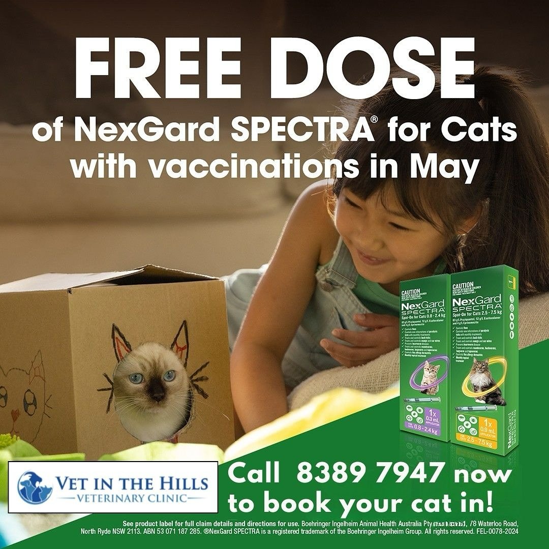 FREE NexGard SPECTRA for Cats this May! 🐈 

Is your feline friend due for their vaccinations? Book them in during May and receive a FREE dose of NexGard SPECTRA&reg; for Cats&mdash;protection against fleas, ticks, worms and more, all in one easy tre