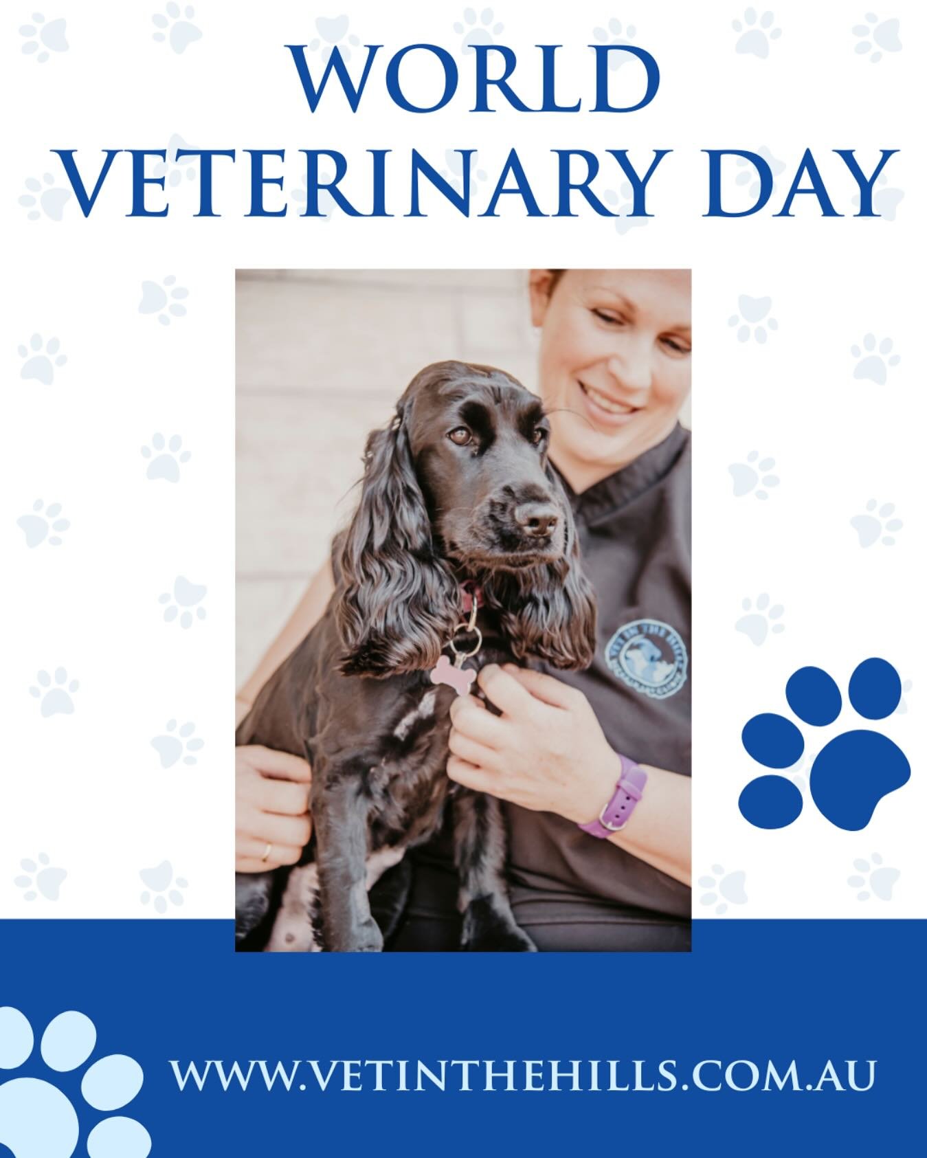 🐾 Happy World Veterinary Day from Vet In The Hills! 🐾
Today, we celebrate the incredible work of veterinarians across the globe &mdash; and right here in South Australia.

From playful puppies to senior pets, farm animals to exotics, our team is de