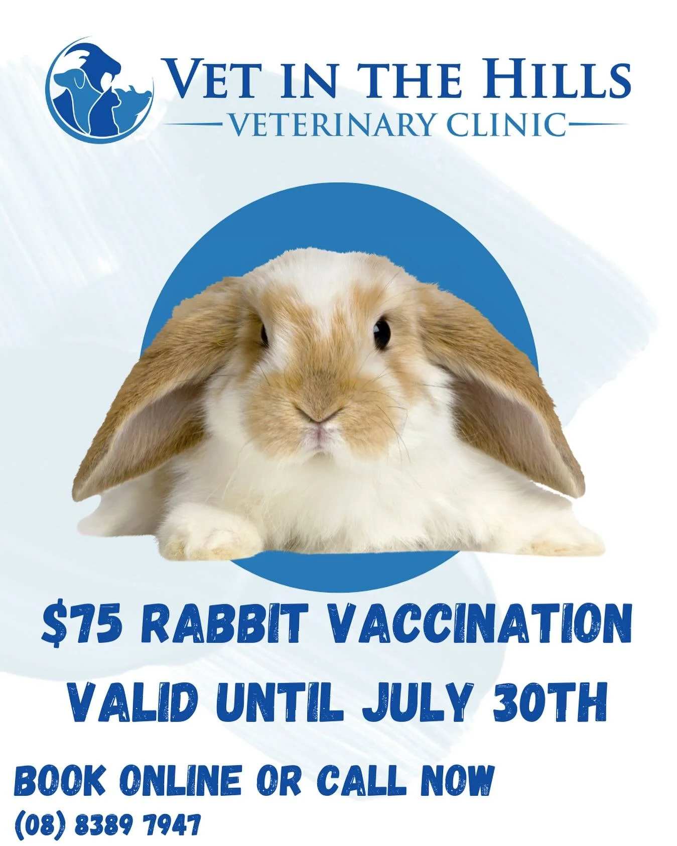 📣 BUNNY PARENTS &mdash; LISTEN UP! 🐰💉

We&rsquo;ve seen cases of myxomatosis in pet rabbits right here in the Hills recently 😢 &mdash; and it&rsquo;s absolutely heartbreaking.

But the good news? You can help protect your fluffy friend! 💪🐇

🎉 