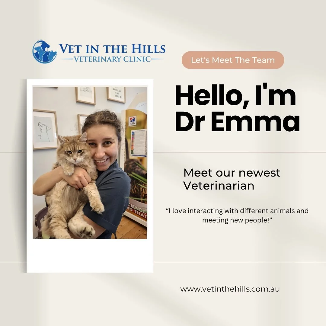 🐾 Say hello to Dr Emma!
Dr Emma joined the Vet in the Hills team in February and has quickly become a friendly and welcoming presence in our clinic. Her calm nature, caring approach, and genuine love for animals make her a favourite with both client