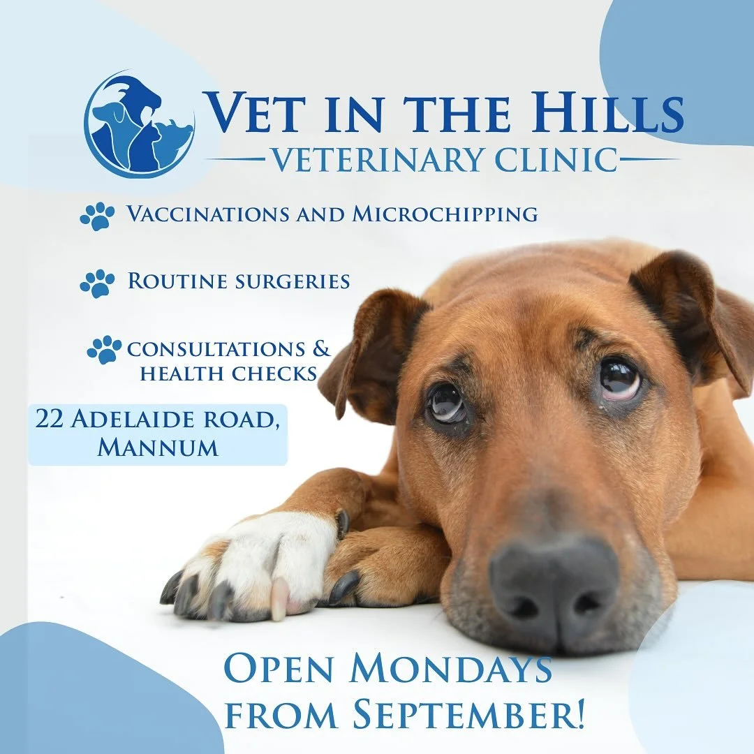 🐾 Big News for Our Mannum Families! 🐾
We&rsquo;re incredibly grateful for the warm welcome and ongoing support from the wonderful Mannum community 💛

Thanks to YOU, we&rsquo;re excited to share that from the beginning of September, Vet in the Hill