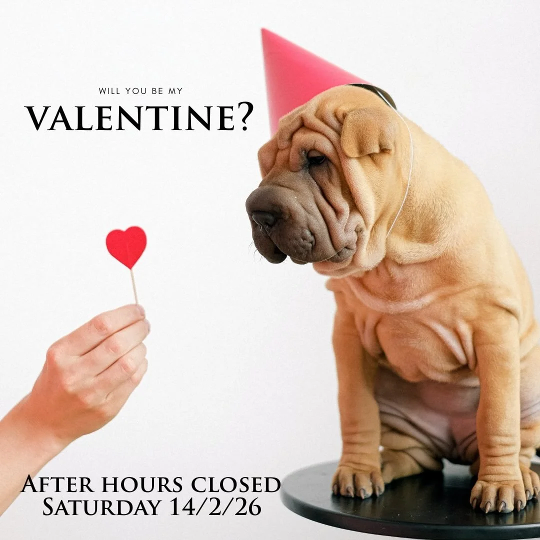 💕 Love is in the air&hellip; and so are the fur cuddles 🐾
A little heads up from the team at Vet in the Hills &mdash;
Tomorrow (14/2/26) our after-hours service will be closed while our humans spend some quality time with their favourite species. (