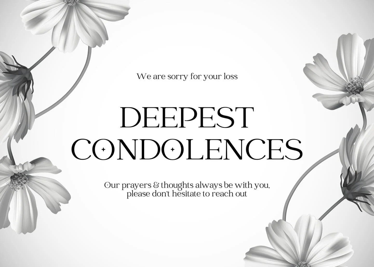 💔 Deceased Cat Found &ndash; Balhannah / Woodside Area 💔
Sadly, a large male cat was found this morning between Balhannah and Woodside, at approximately the start of the Amy Gillett Bikeway.
He was desexed but unfortunately was not microchipped or 