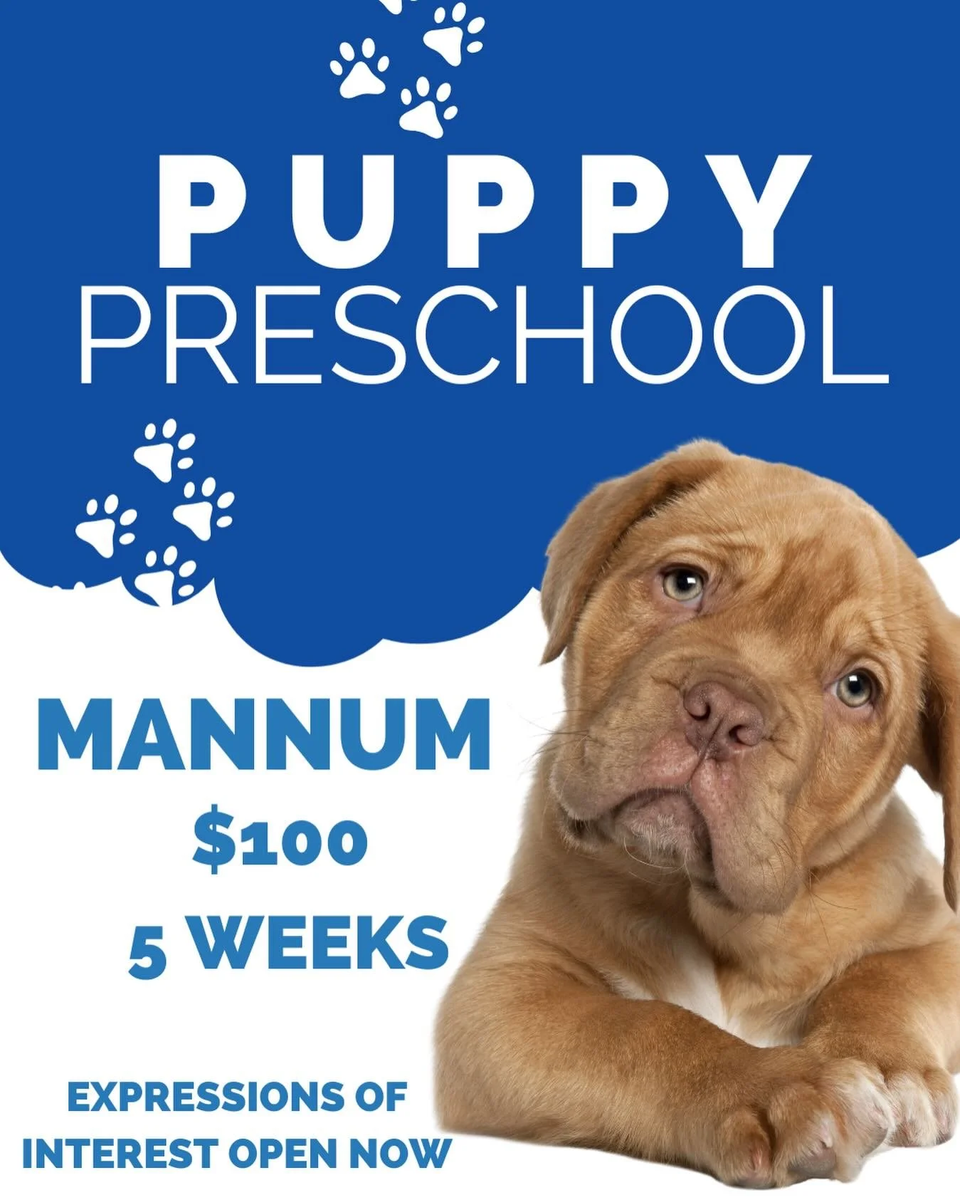 🐾 Puppy Preschool &ndash; Mannum (Expressions of Interest) 🐾

We already run our much-loved Puppy Preschool in Woodside, and we&rsquo;re thinking it might be time for the Mannum puppies to have their turn too!

If your household currently includes 