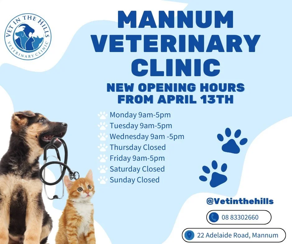 Big news from @VetInTheHills 🐾
Our Mannum crew has been working hard behind the scenes, and we&rsquo;ve got something to share&hellip;
From April 13th, our Mannum Veterinary Clinic will be open 4 days a week! 🎉
That&rsquo;s right&mdash;more chances