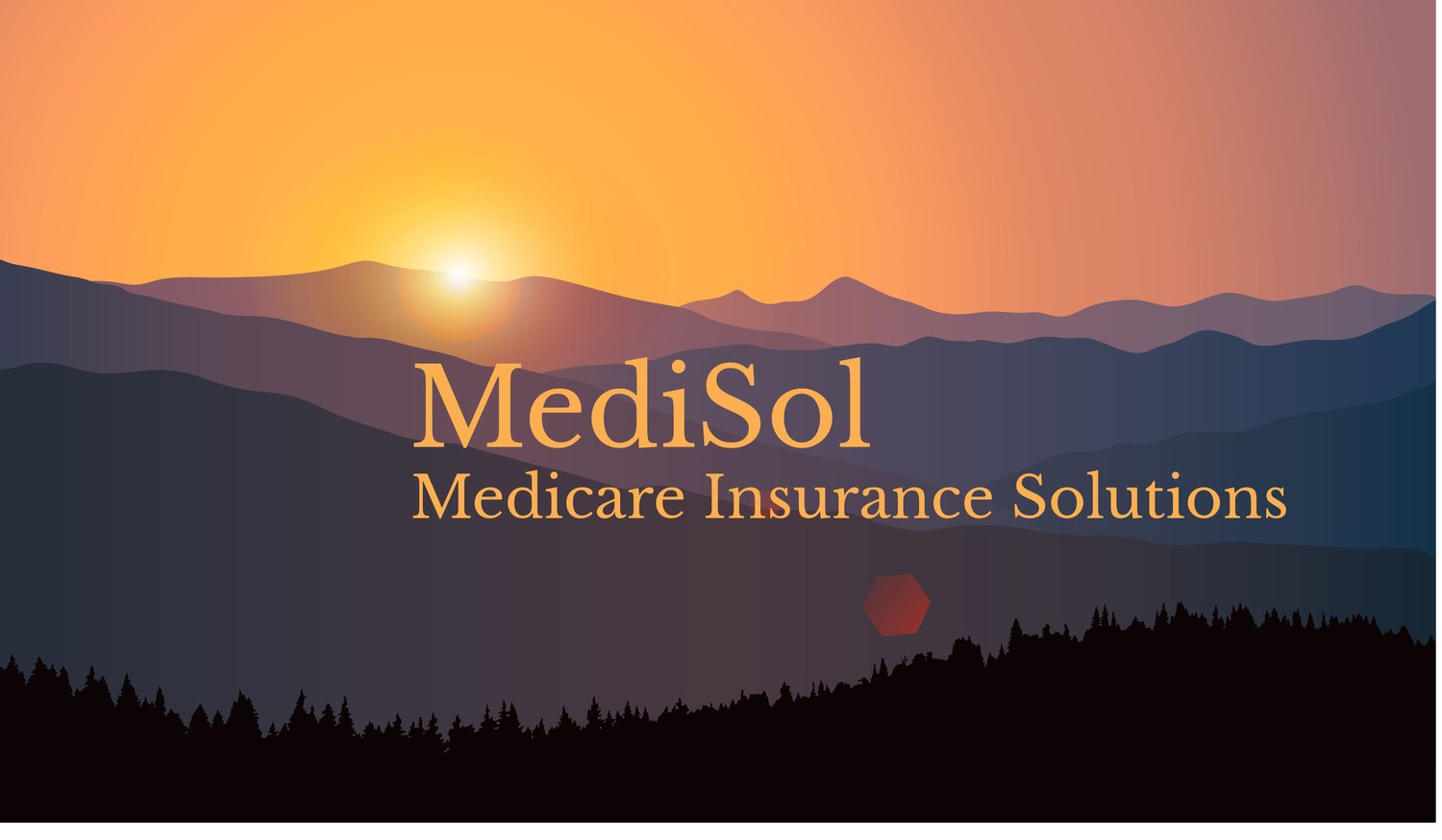 MediSolMedicare.com