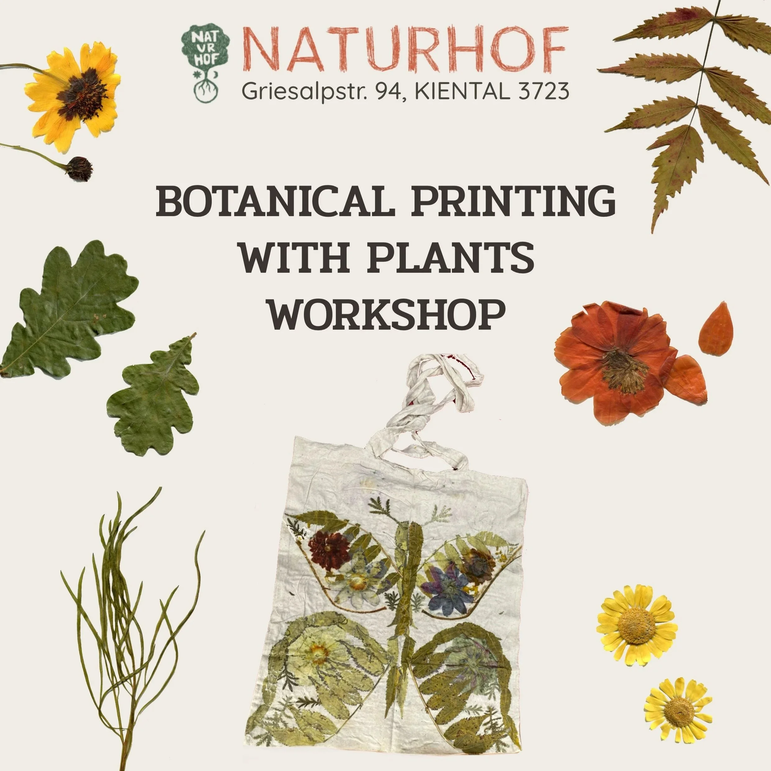 Botanical Printing with Plants